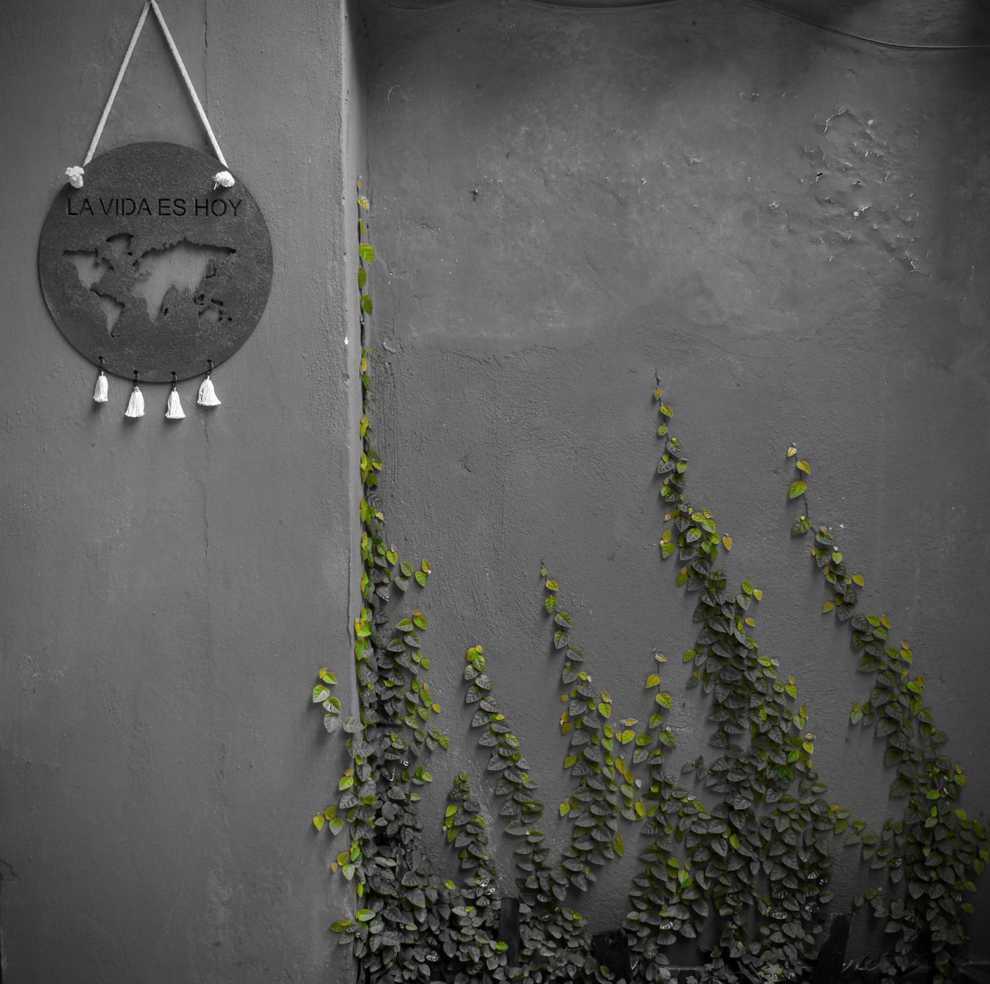 Leo'S Clan Beach Hostel Araquari Exteriér fotografie